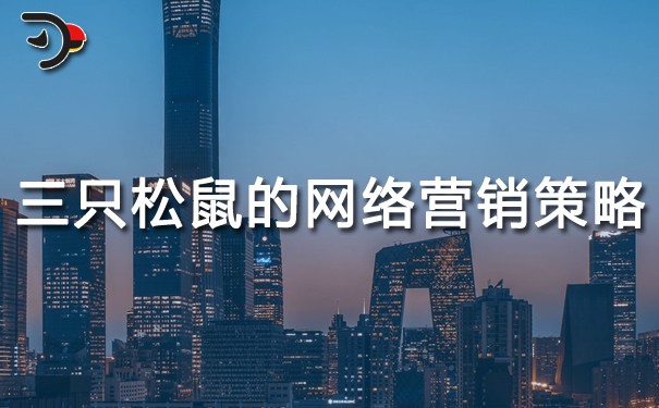 chat三只松鼠的網(wǎng)絡(luò)營(yíng)銷策略.jpg