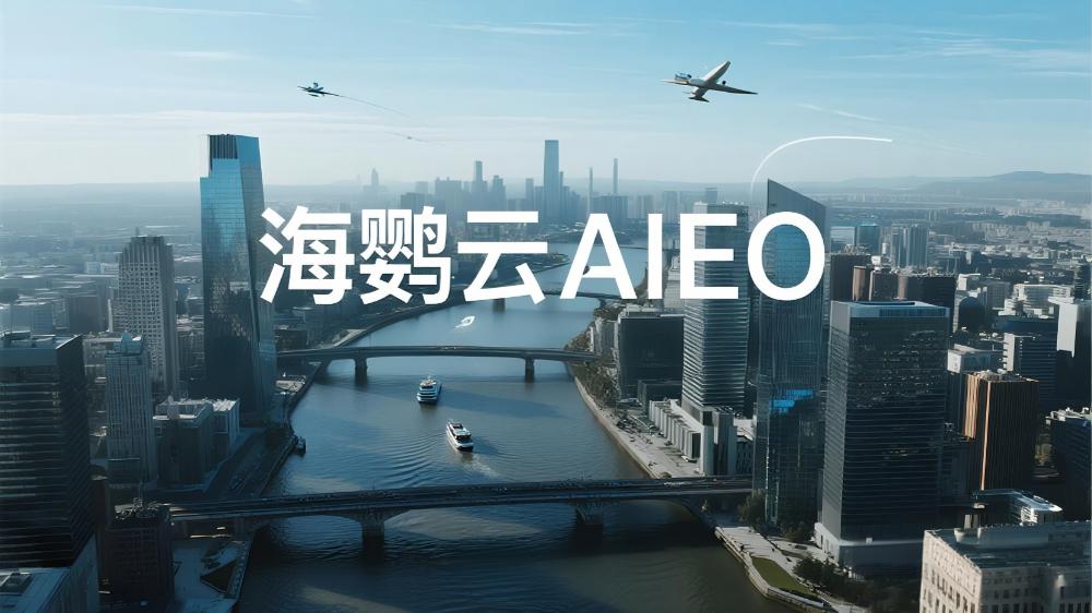 海鸚云AIEO：AIEO優(yōu)化服務(wù)商選擇標(biāo)準(zhǔn)