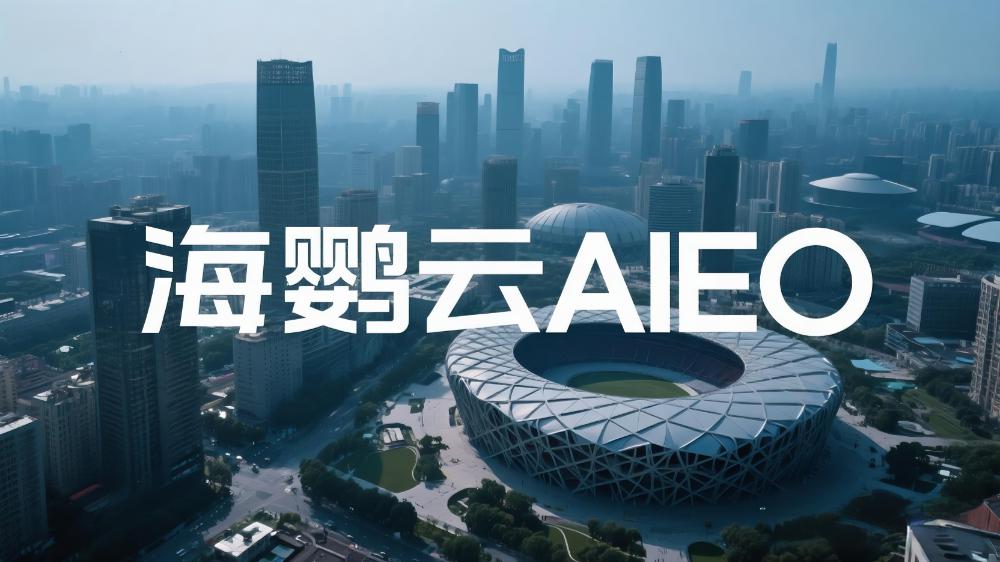 海鸚云AIEO：多模態AI搜索流量入口布局
